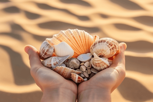 Seaside serenade: Seashell mobile DIY
