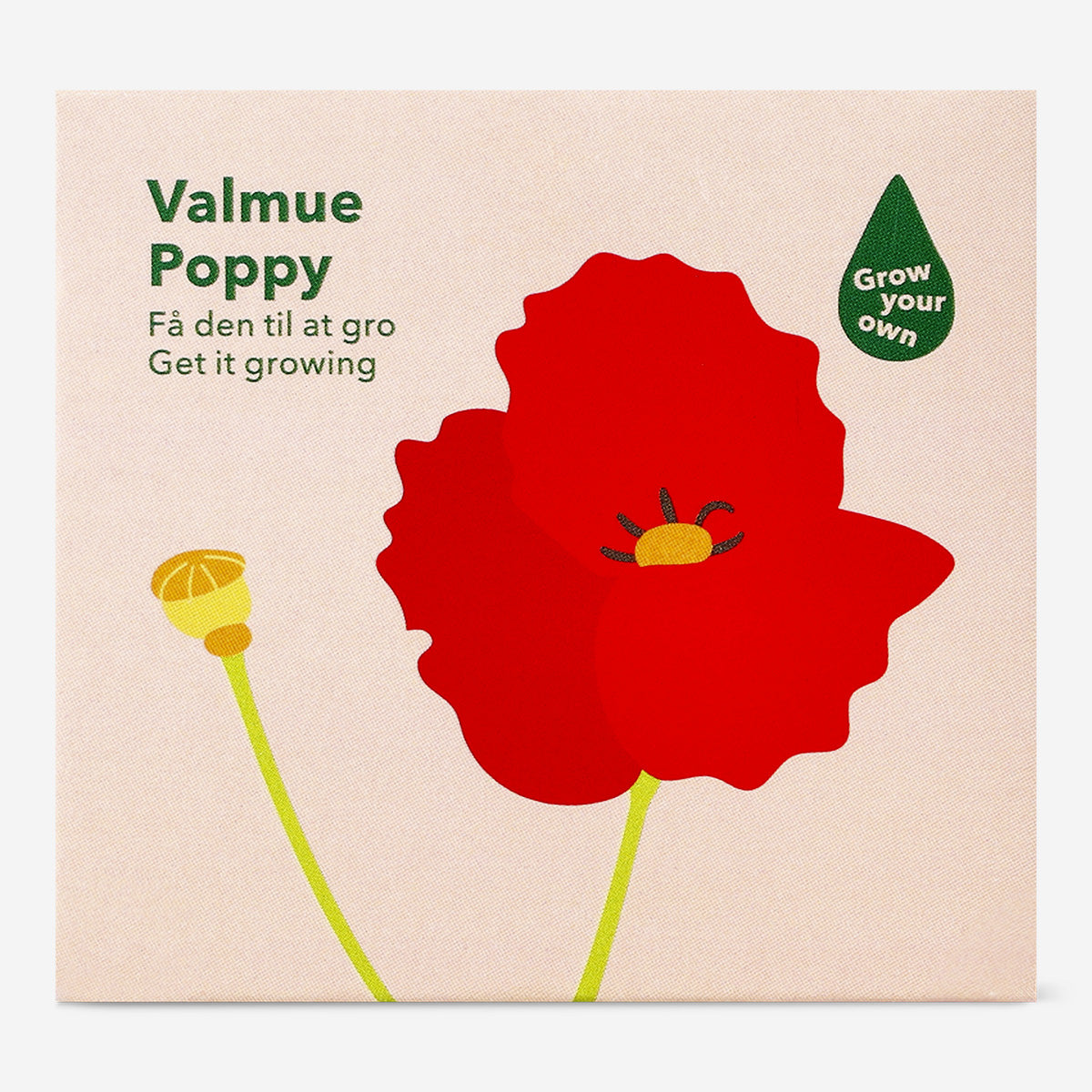 poppy Poppy Grow Kit with Terracotta Pot | DIY Gardening Gift – Flying