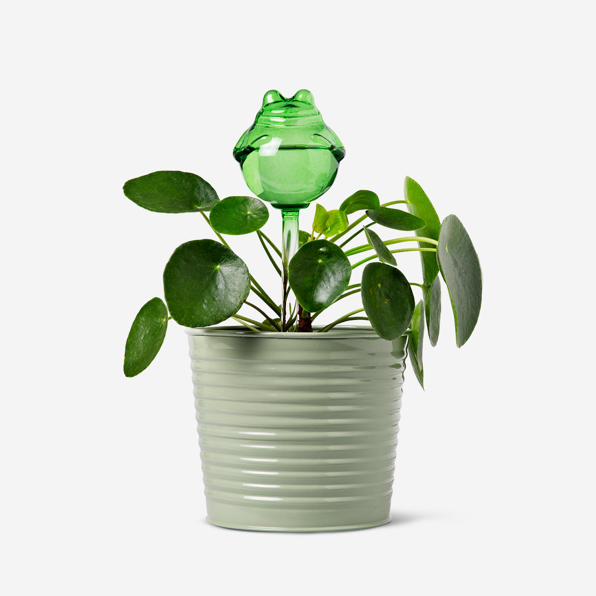 frog self watering planter Frog Self Watering Spike – Glass Plant Waterer for Healthy Pots – Flying Tiger Copenhagen