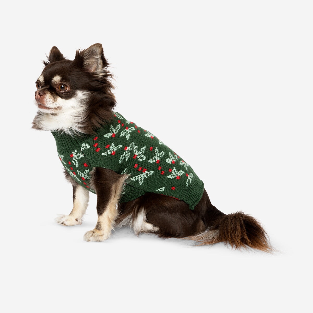 Green Christmas Sweater for Dogs – Festive Pet Jumper UK – Flying Tiger  Copenhagen