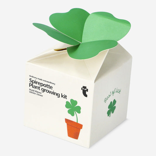 Plant growing kit. White clover