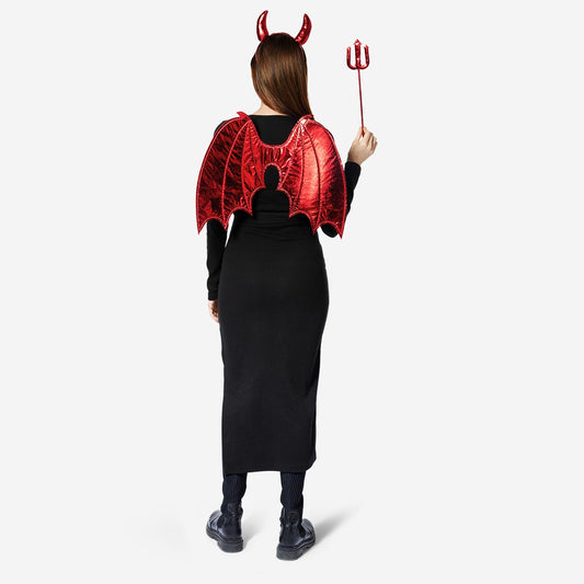 Devil costume. Adult