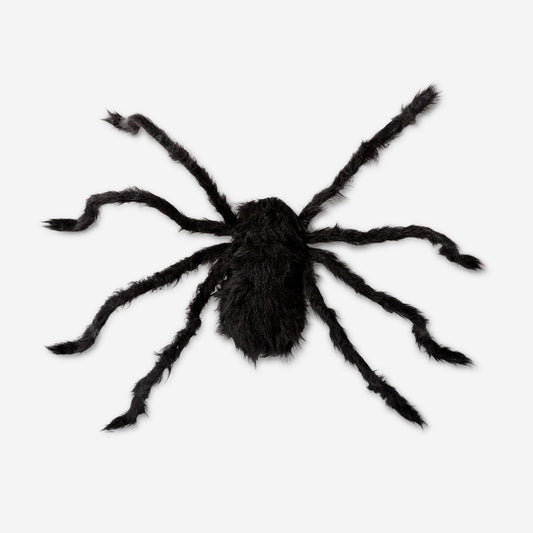 Dekorativ edderkop