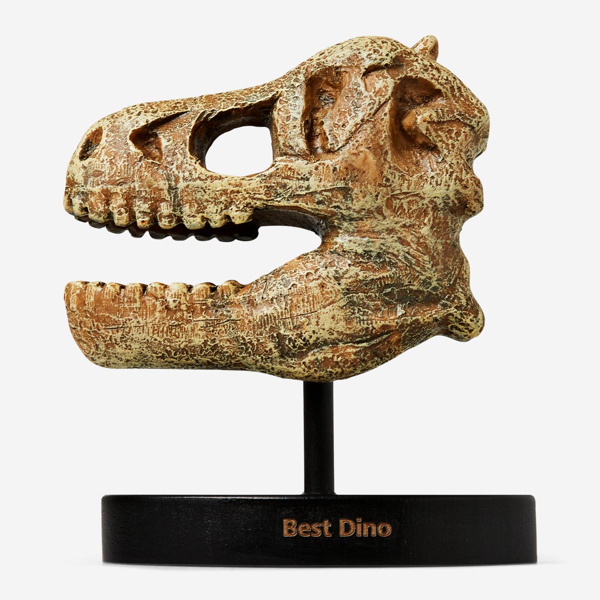 Osso Di Dinosauro Exo Terra - Decorazione Realistica Per Terrario | Nascondiglio Per Rettili - Foto 2