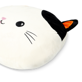 Cat cushion with blanket inside