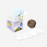 Home seed pack featuring Flying Tiger Copenhagen wildflower mix with colorful flower seeds in a packet.