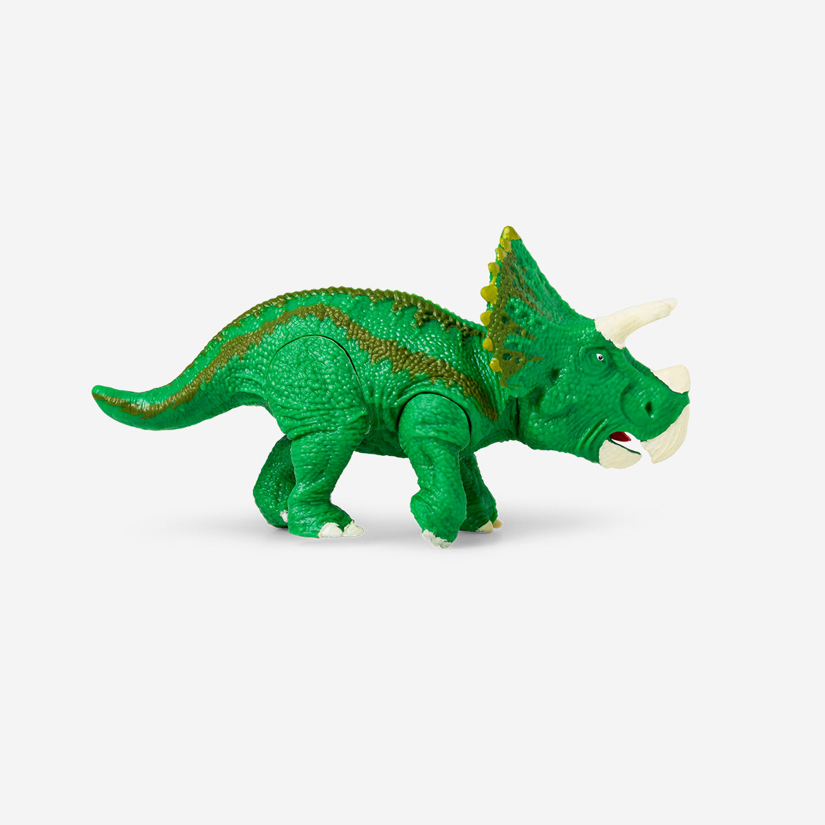 Puzzle anatomico DIY 3D del Triceratopo