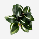 Faux succulent in pink ceramic pot