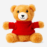 Pet toy - Teddy wearing a sweater