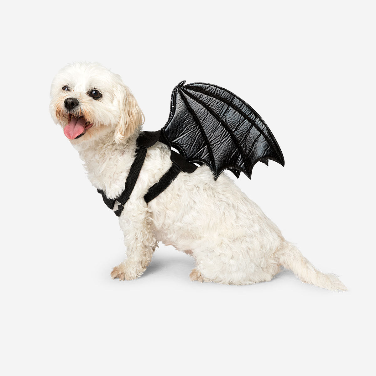 Pet costume featuring a skeleton bat design by Flying Tiger Copenhagen, ideal for fun leisure dress-up.