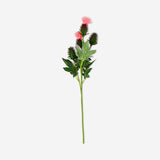 Decorative Flying Tiger Copenhagen flower resembling a thistle, perfect for home decor, with vibrant purple and green hues.