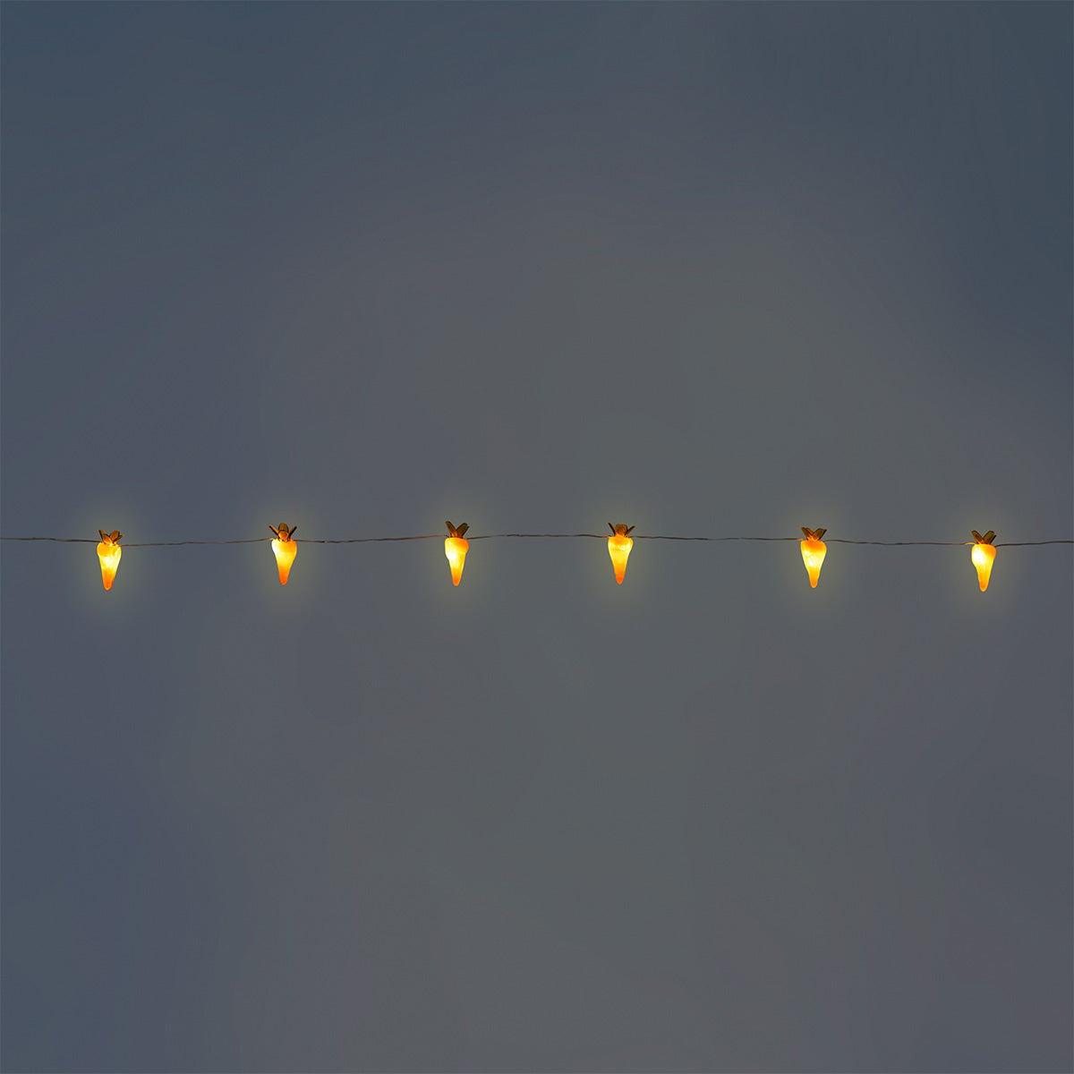 String lights - Orange carrots