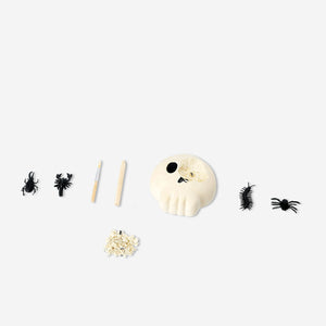 Flying Tiger Copenhagen excavation kit with a skull design, a fun toy for digging and discovering hidden treasures.