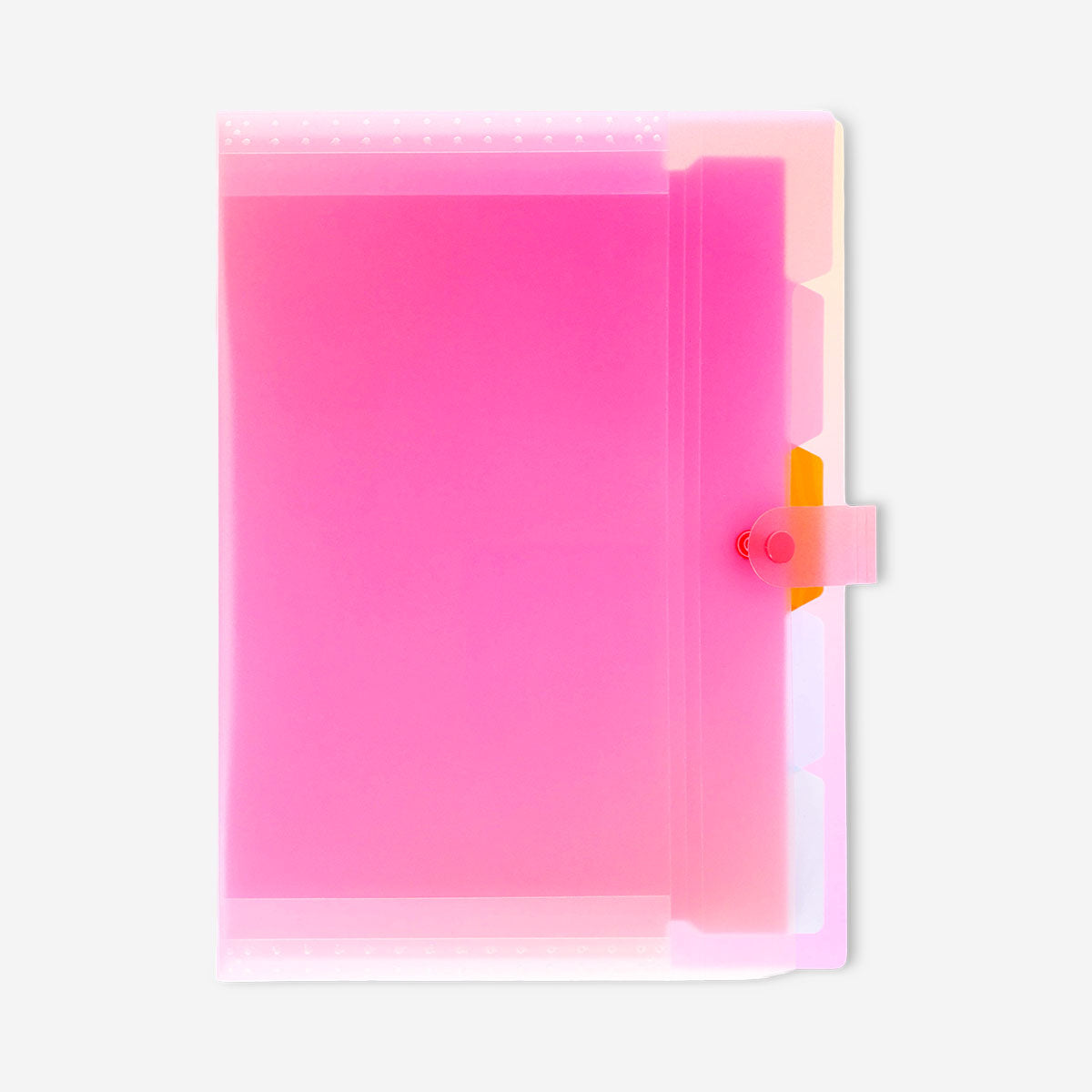 Organizador multicolor para documentos A4 con separadores