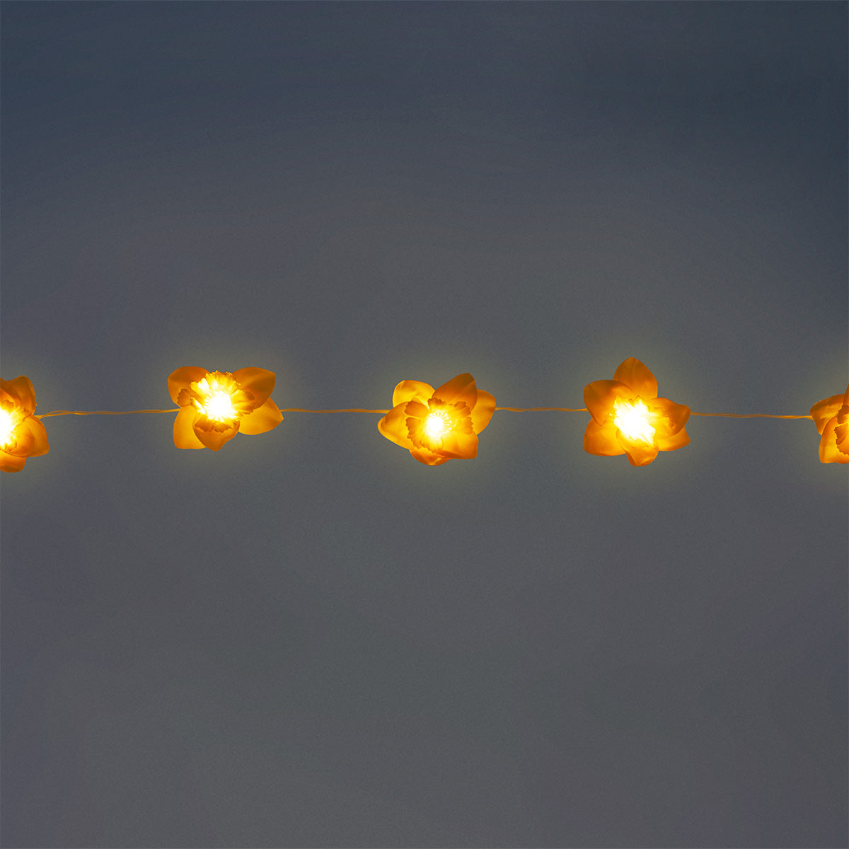String lights - Yellow daffodils
