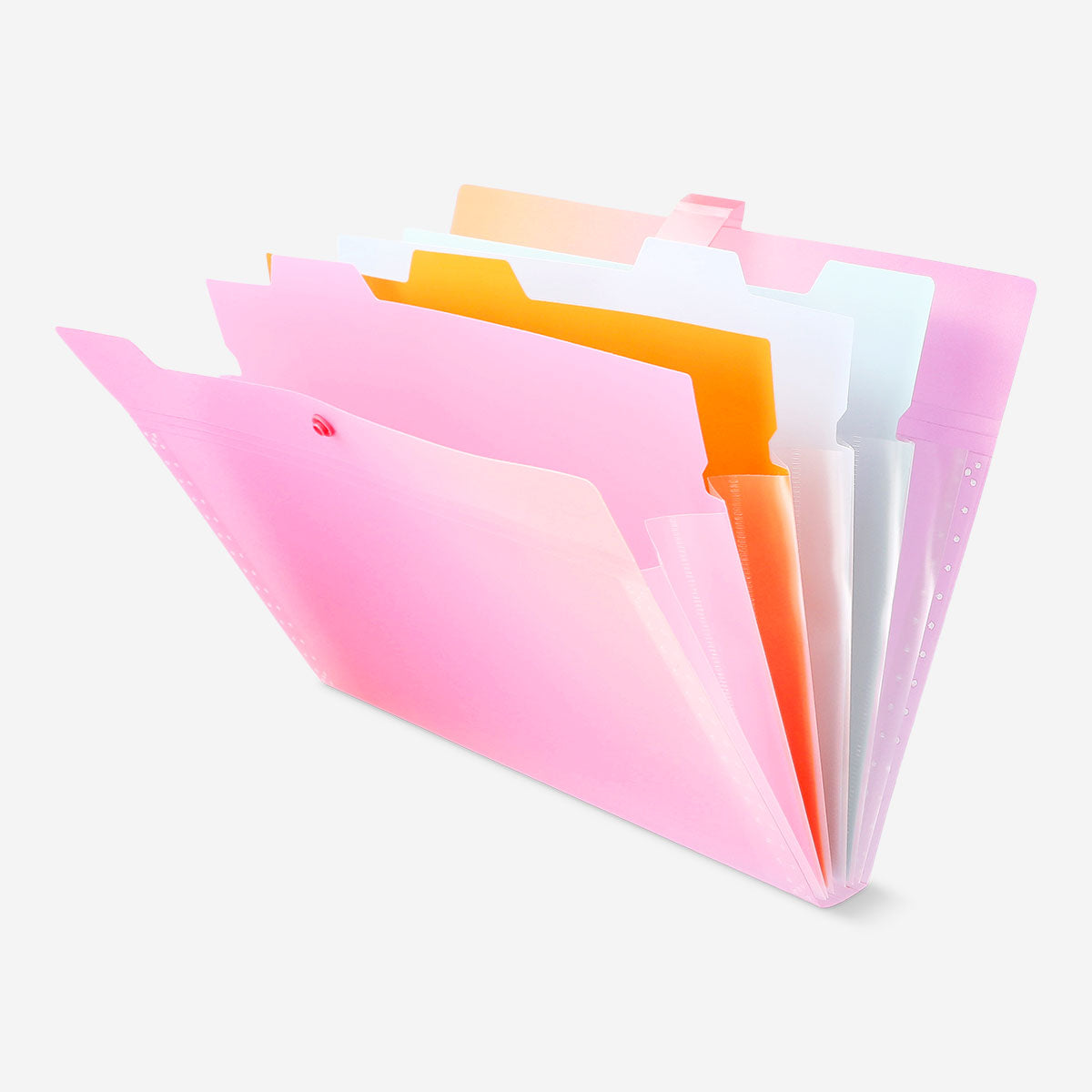 Organizador multicolor para documentos A4 con separadores