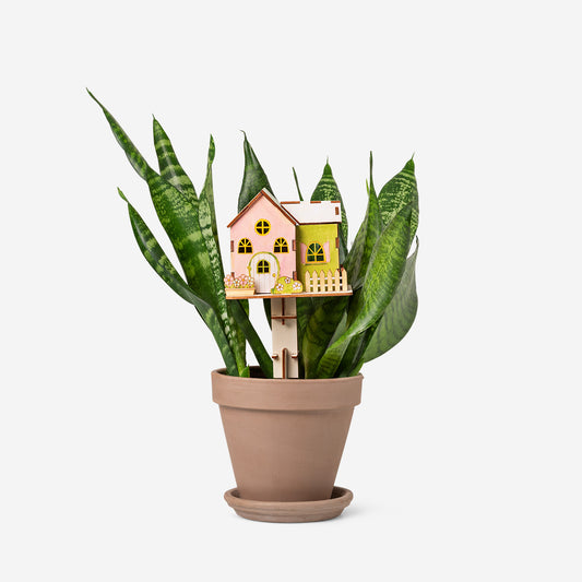 DIY wooden house with paint