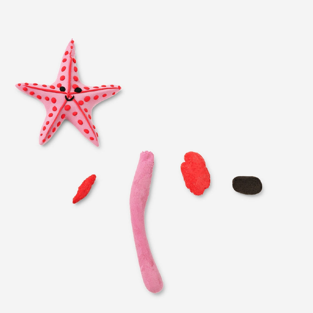 Set de arcilla ligera - Estrella de mar