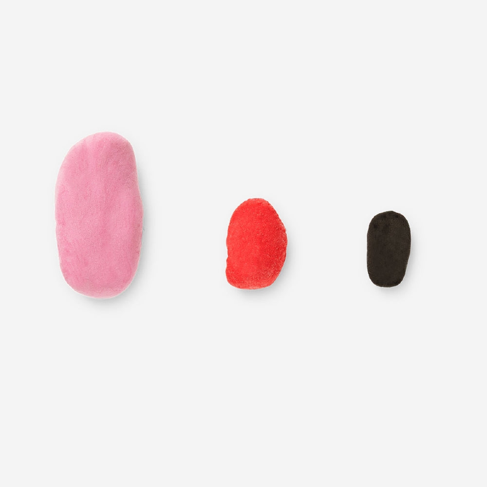 Set de arcilla ligera - Estrella de mar