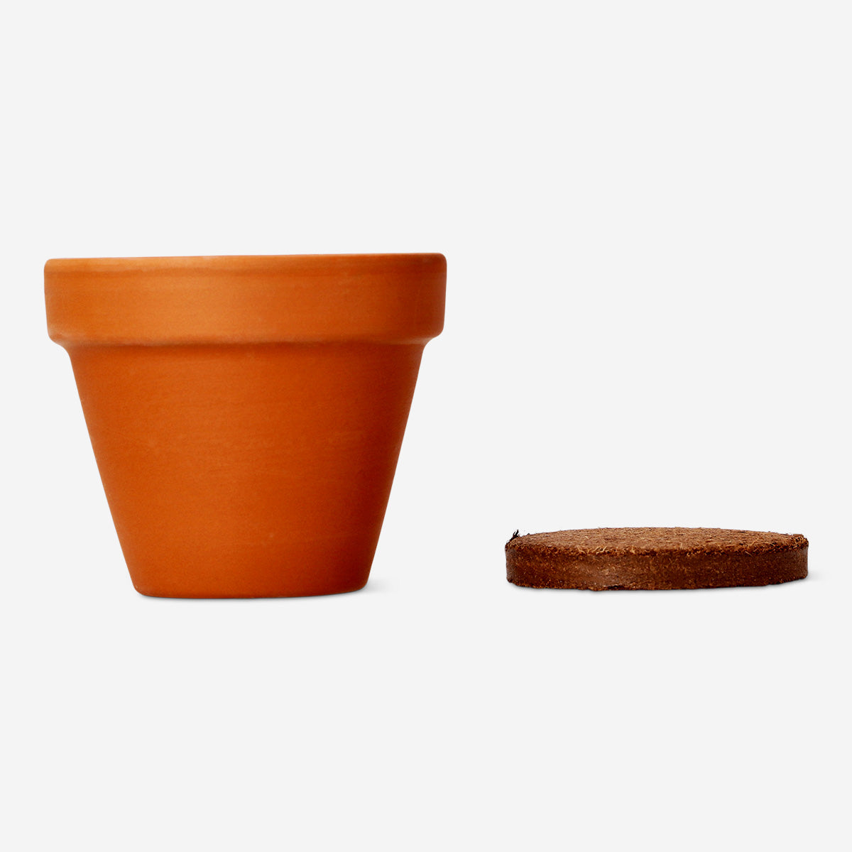 Poppy Grow Kit with Terracotta Pot | DIY Gardening Gift – Flying