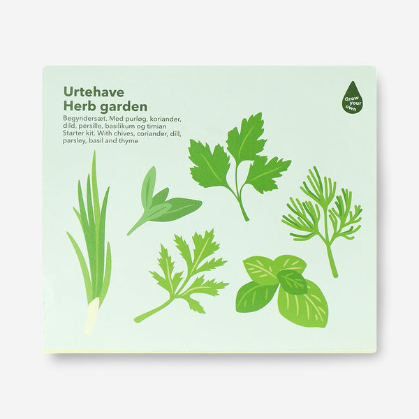 Herb Garden Grow Kit – Fresh Chives, Basil, Parsley & More