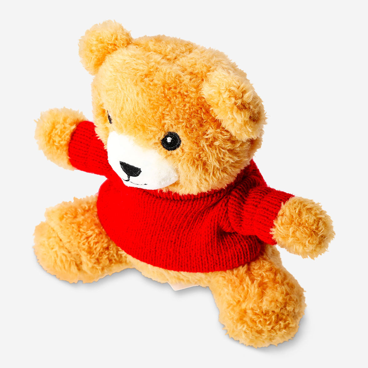 Pet toy - Teddy wearing a sweater