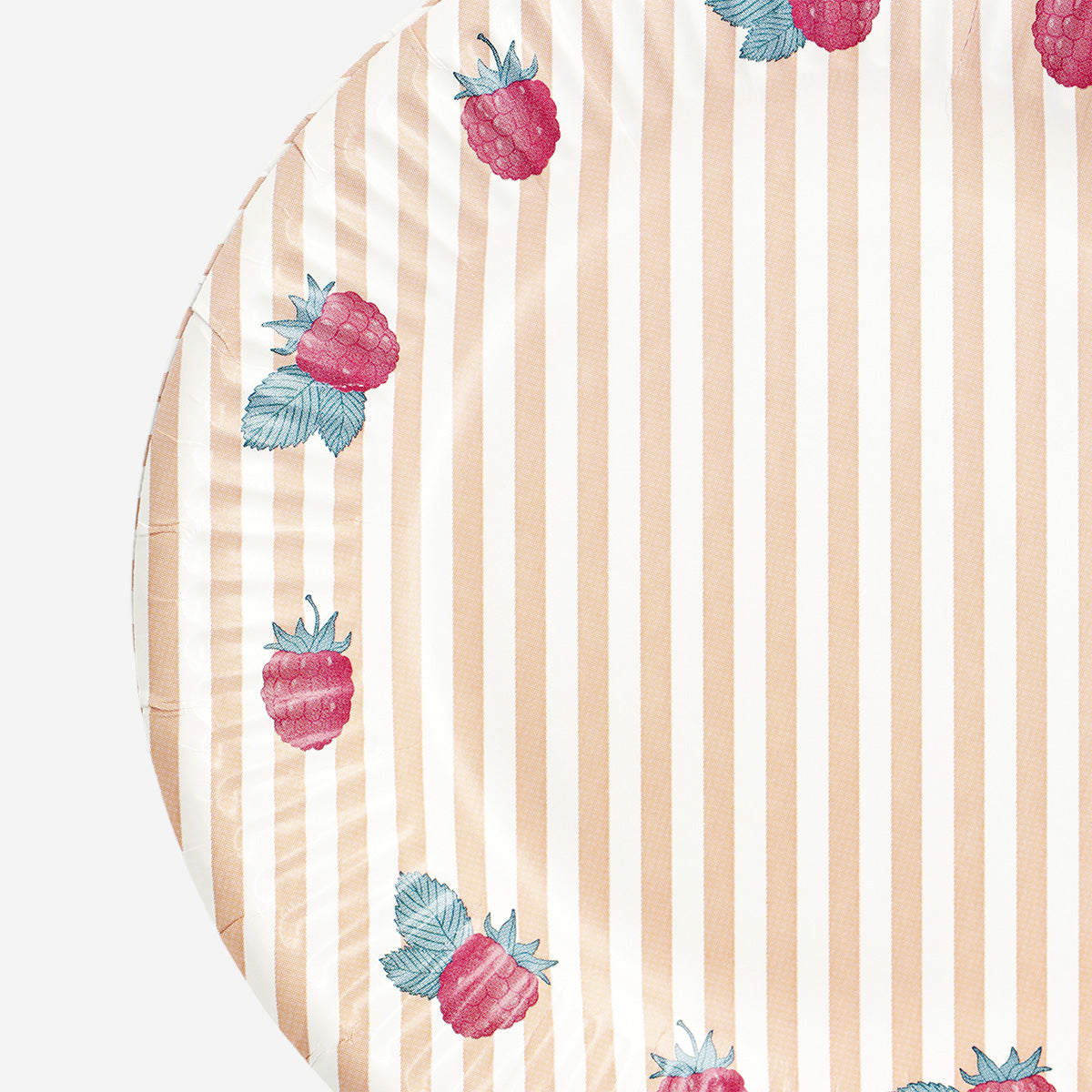 Set of 8 flying tiger Copenhagen paper party plates with raspberry print, perfect for festive gatherings and celebrations.