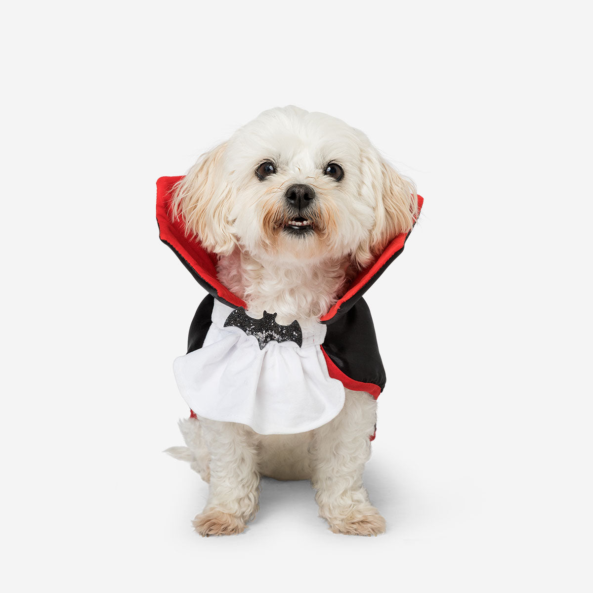 Flying Tiger Copenhagen Dracula pet costume for leisure, featuring a spooky vampire design with a cape and fangs for cats or dogs.