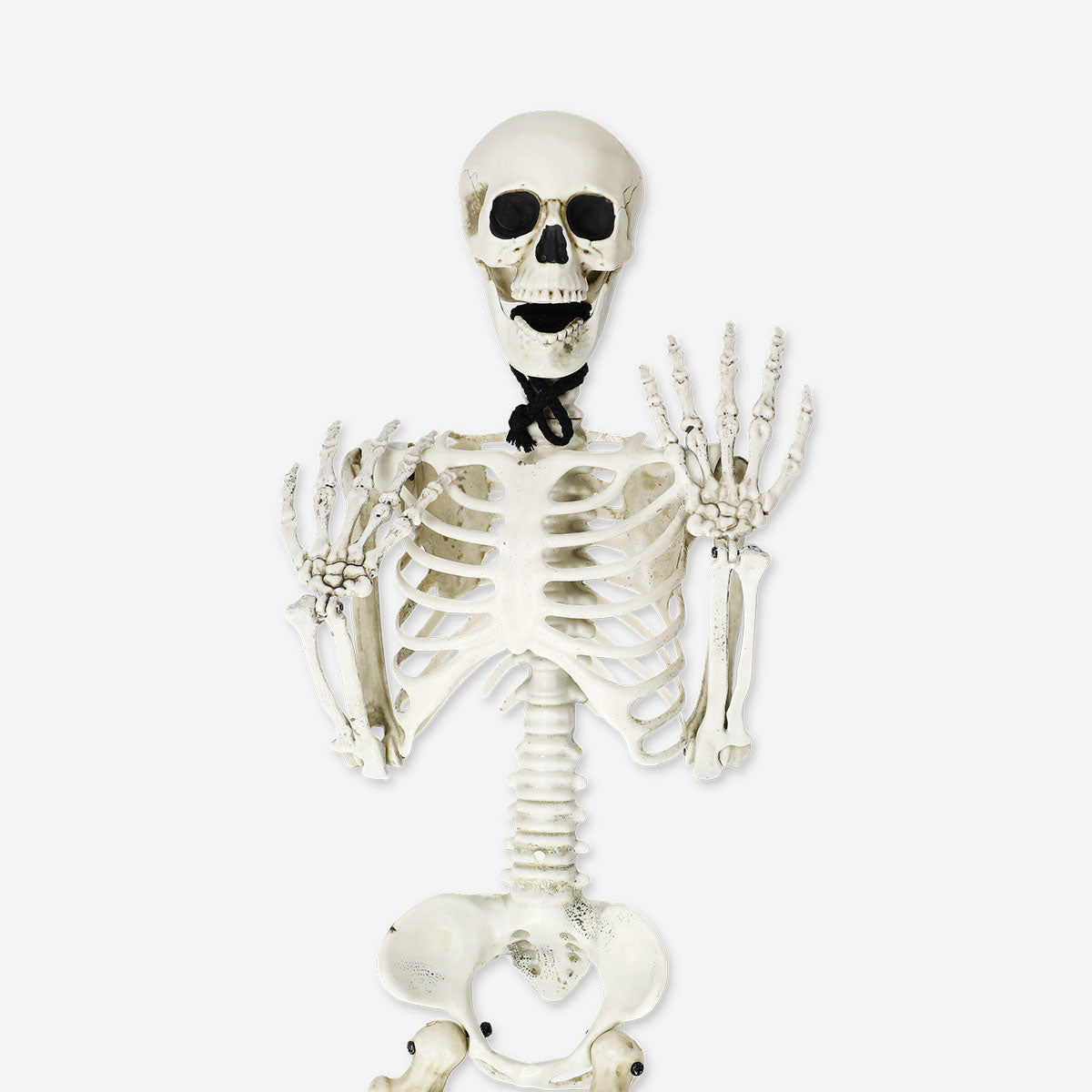 Decorative hanging skeleton gadget, 85 cm tall, from Flying Tiger Copenhagen, featuring a detailed skeleton figure for Halloween or decor.