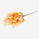 Decorative autumn leaf branch for home decor by Flying Tiger Copenhagen, featuring colorful fall leaves and natural branch details.