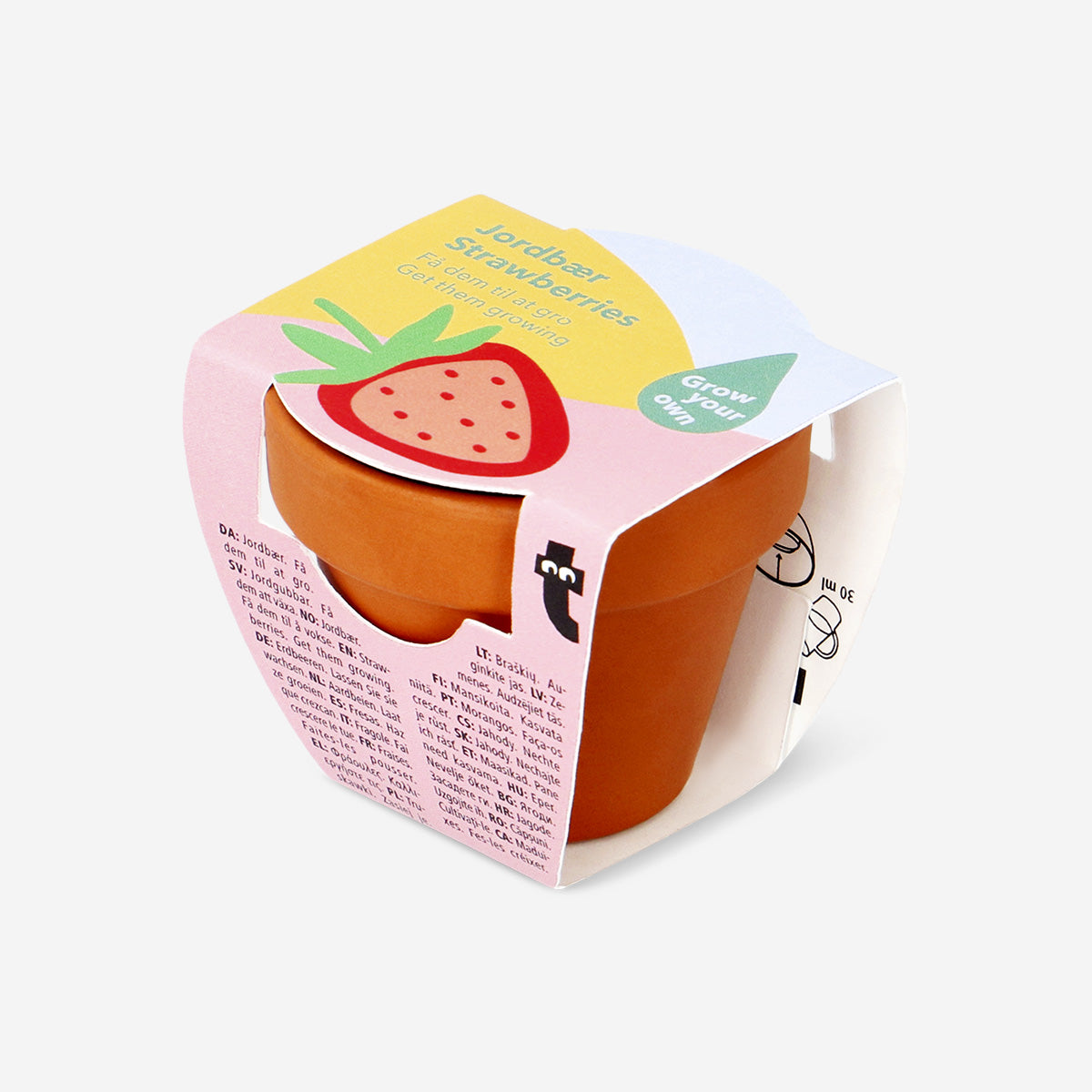 Flying Tiger Copenhagen strawberry grow kit for home, featuring containers, soil, and strawberry plants ready for planting.
