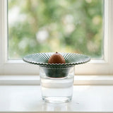 Terracotta avocado planting funnel for home gardening, designed by Flying Tiger Copenhagen, with a wide opening for easy planting.