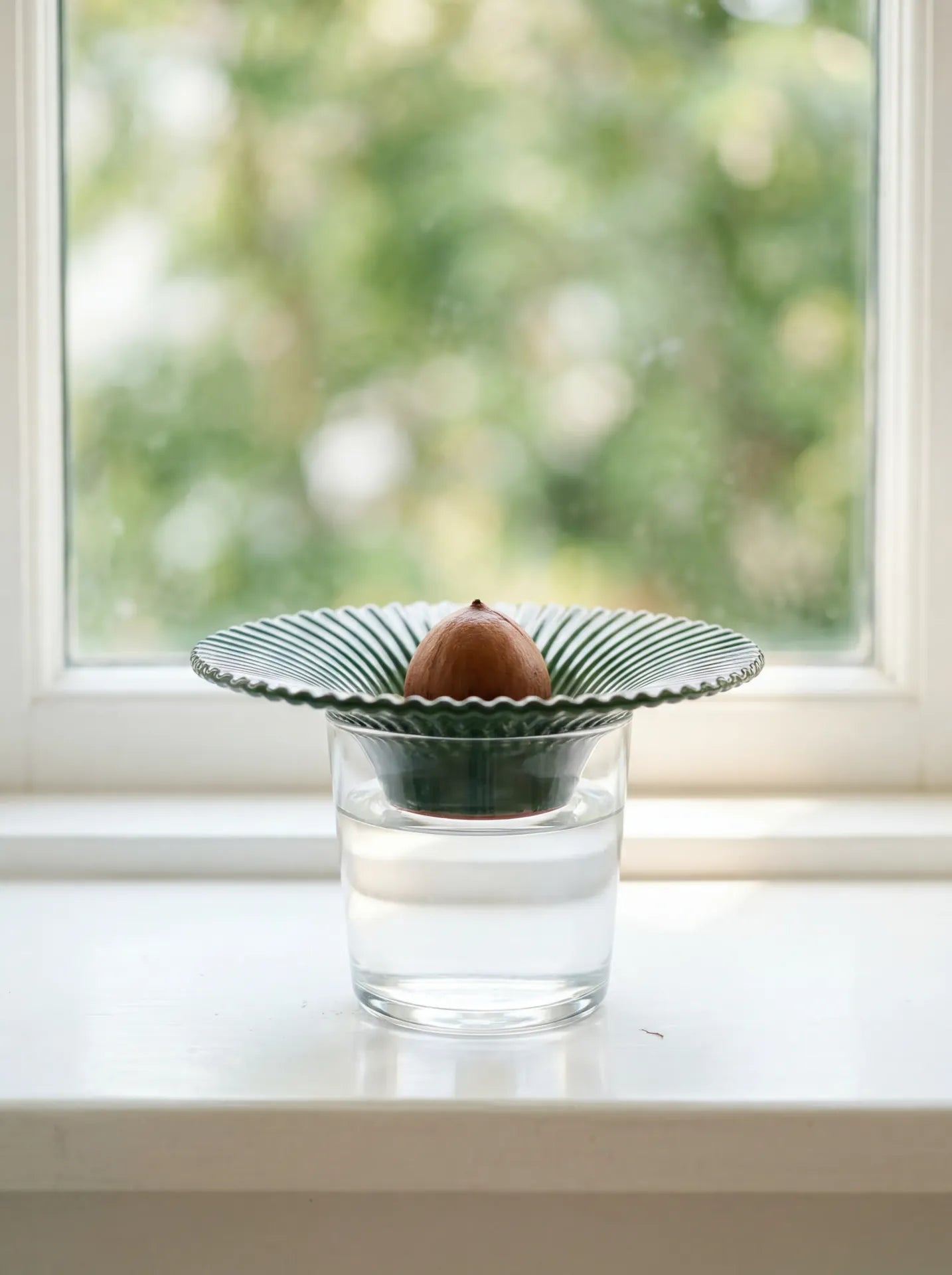 Terracotta avocado planting funnel for home gardening, designed by Flying Tiger Copenhagen, with a wide opening for easy planting.