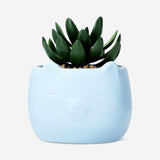 Suculenta de imitación en maceta de cerámica azul