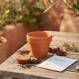 Flying Tiger Copenhagen strawberry grow kit for home gardening, featuring containers and seedlings ready for planting.