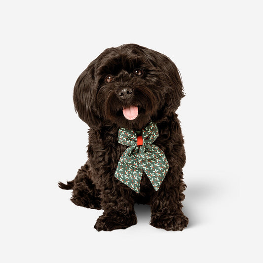 Adjustable green collar with bowtie