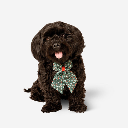 Adjustable pet collar - Holly print