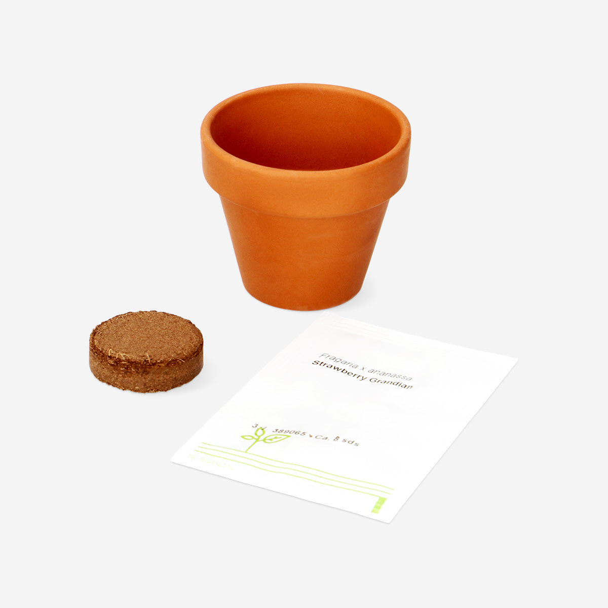 Flying Tiger Copenhagen strawberry grow kit for home gardening, includes planting containers and strawberry seedlings.