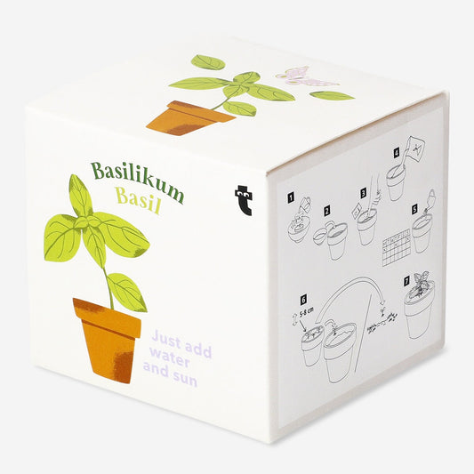 Basil grow kit