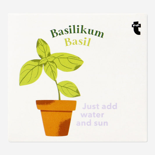 Basil grow kit