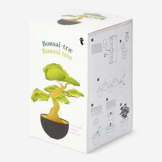 Bonsai tree grow kit