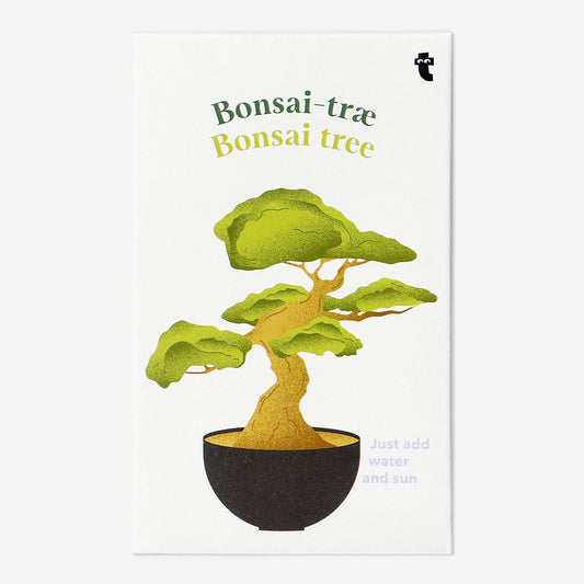 Bonsai tree grow kit