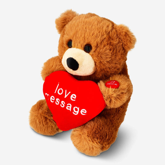 Valentine's teddy with voice recorder