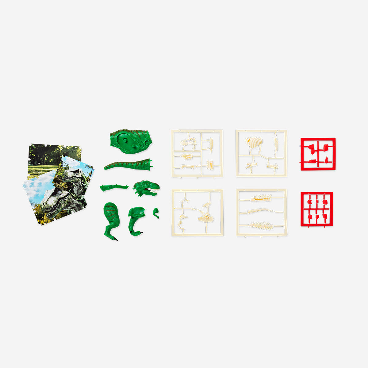 DIY 3D anatomical T-Rex puzzle