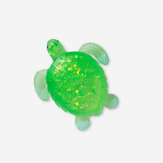 Press me toy - Green turtle