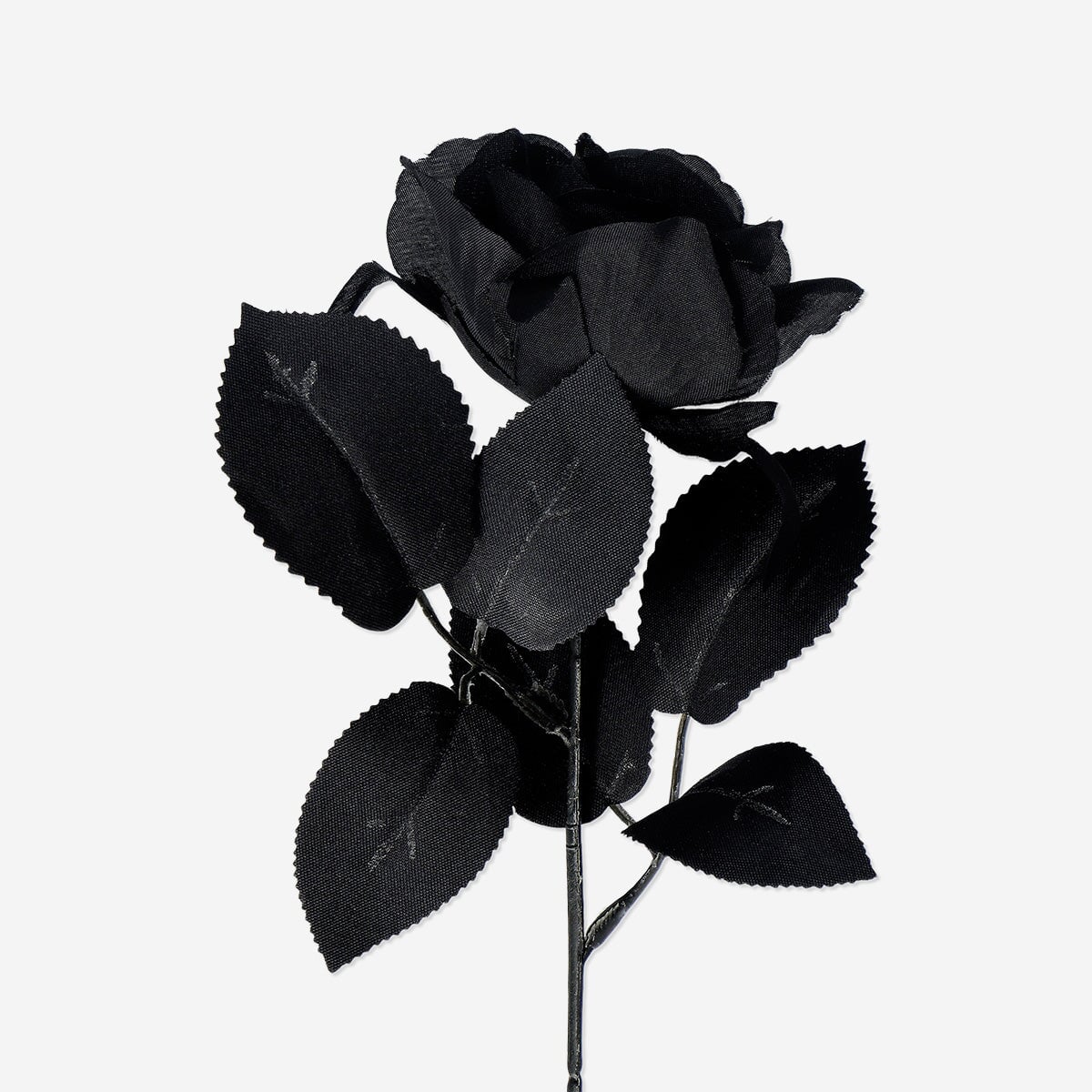 Decorative flower - Black rose Home Flying Tiger Copenhagen 