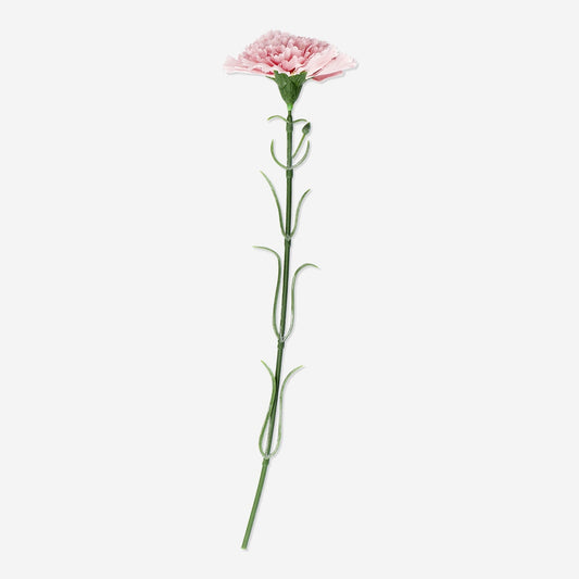 Διακοσμητικό λουλούδι