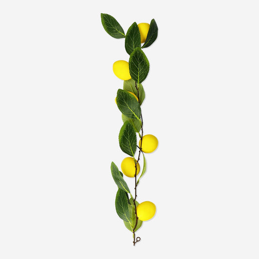 Decoratieve citroenen