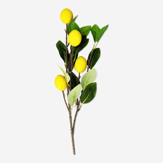Dekorative Zitronen