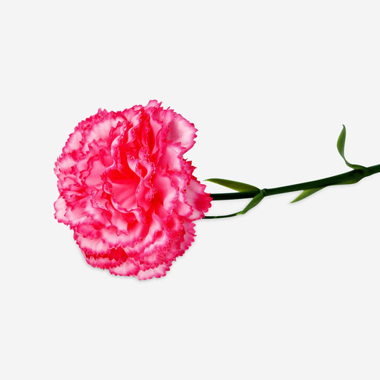 Decorative pink flower